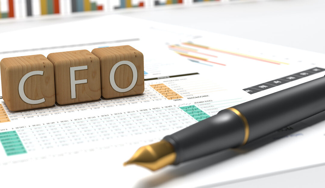 What Do You Look for in a Fractional CFO?