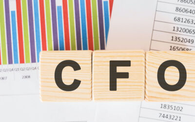 Does Every Company Need a CFO? Exploring the Role of Fractional CFOs